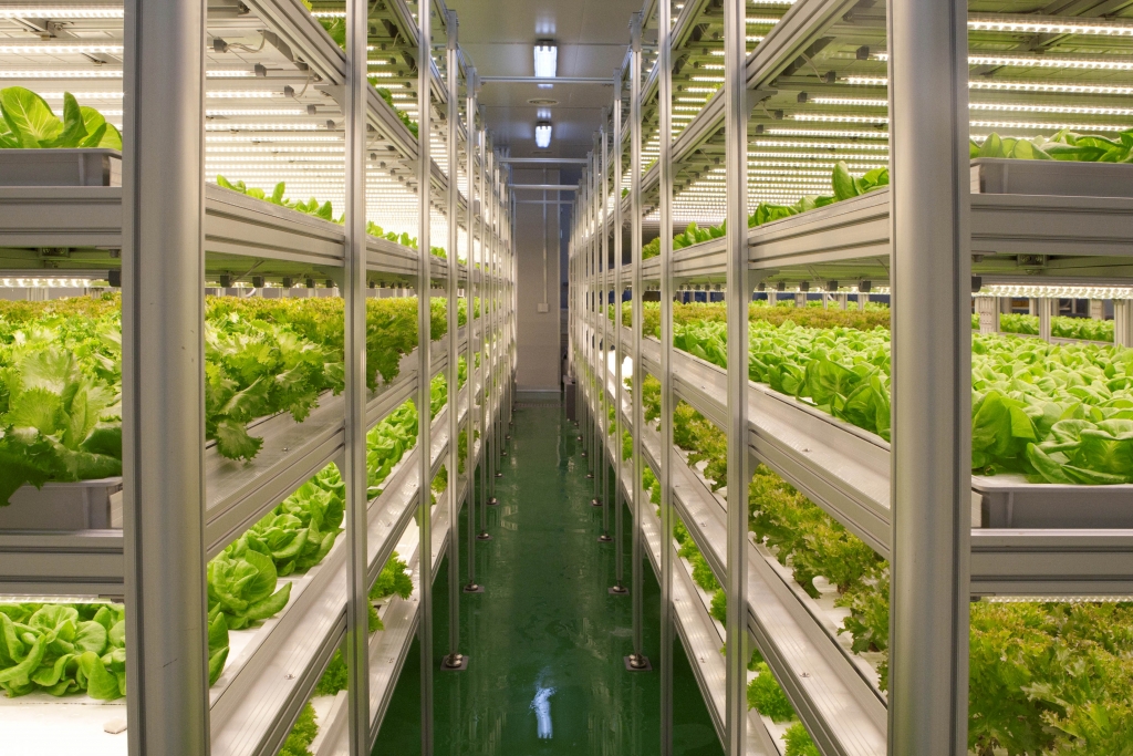 Farm8